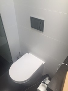 Concord Leaking Toilet                            